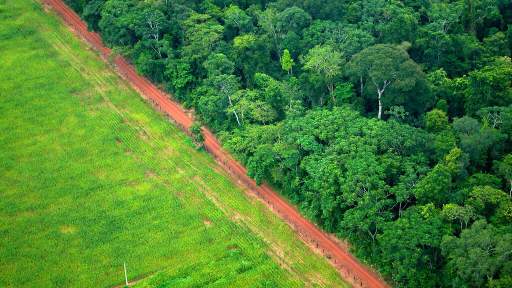 Aerial image of the barrier between cleared Rainforest and Pasture in the Brazilian Amazon