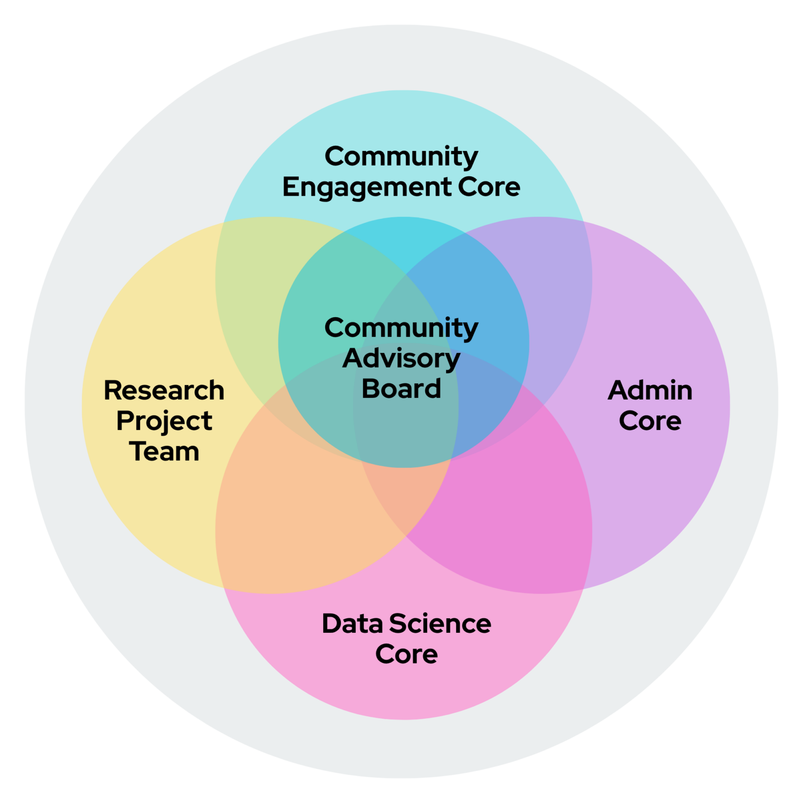 Visual representation of the four, overlapping and intersecting cores of CHEER with the Community Advisory Board at the Center. 