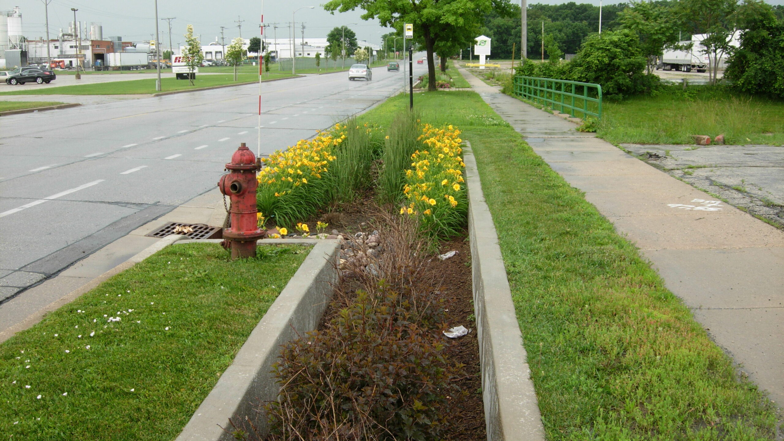 Milwaukee bioswale